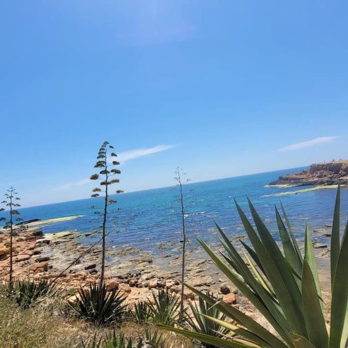Belle Mar Sea View Studio Torrevieja Exteriör bild